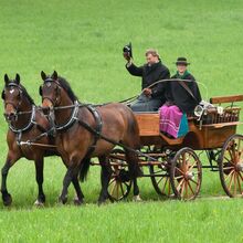 25. Jubiläum-Frühjahrsfahrt der Weilheimer Pferdefreunde e.V.