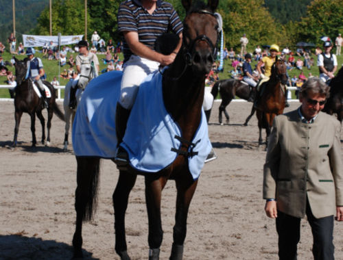 2007 CIC* 2007 CIC*