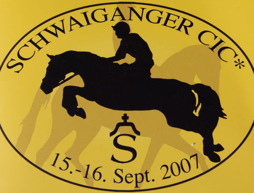 2007 CIC* 2007 CIC*