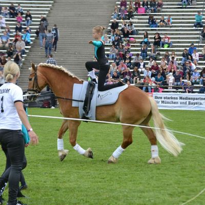 Schauprogramm Pferd International 30.05.2019