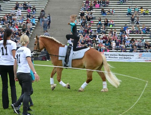 Schauprogramm Pferd International 30.05.2019