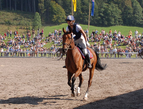 2007 CIC* 2007 CIC*