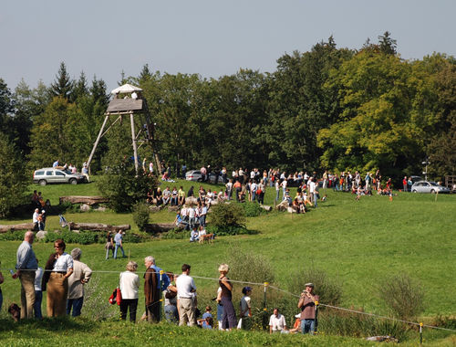 2007 CIC* 2007 CIC*