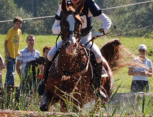 2007 CIC* 2007 CIC*