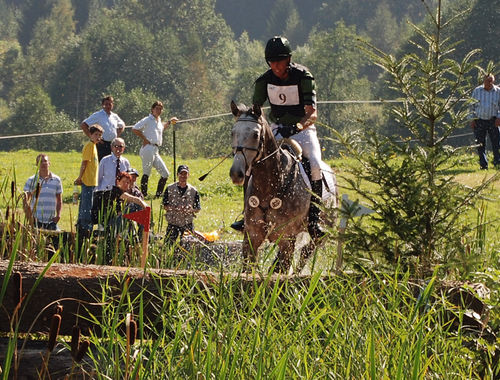 2007 CIC* 2007 CIC*