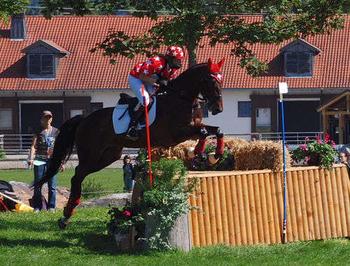 2007 CIC* 2007 CIC*
