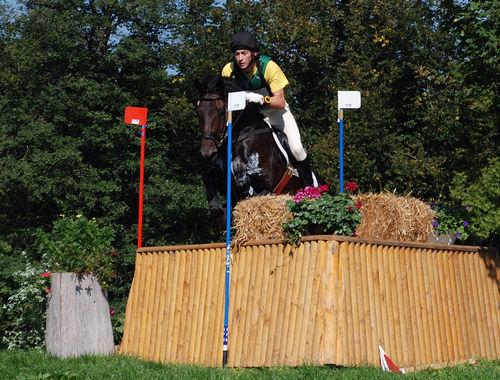 2007 CIC* 2007 CIC*