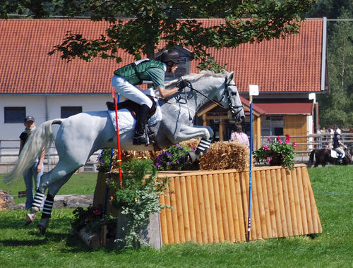 2007 CIC* 2007 CIC*