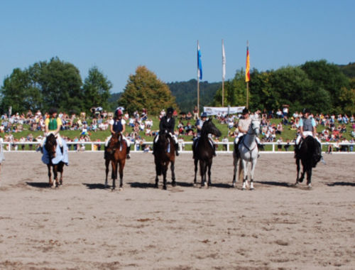 2007 CIC* 2007 CIC*