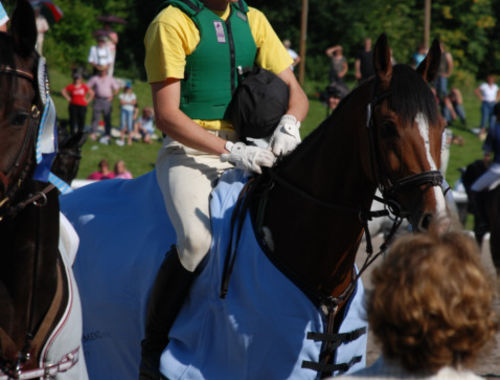 2007 CIC* 2007 CIC*
