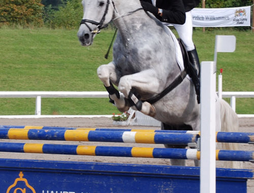 2007 CIC* 2007 CIC*