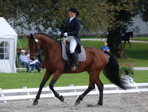 2007 CIC* 2007 CIC*