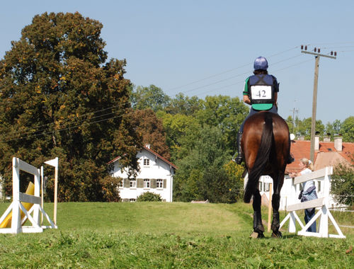 2007 CIC* 2007 CIC*