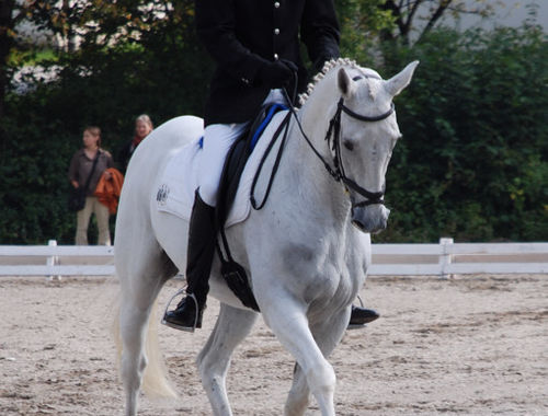 2007 CIC* 2007 CIC*