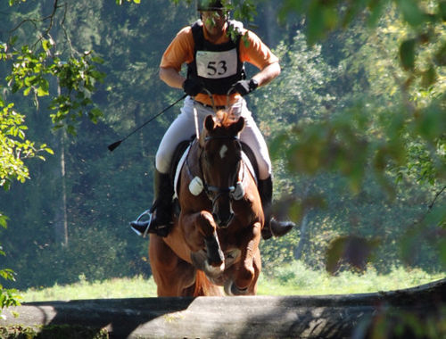 2007 CIC* 2007 CIC*