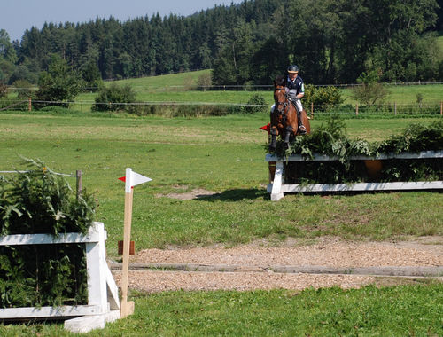 2007 CIC* 2007 CIC*
