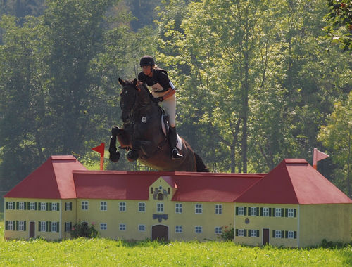 2007 CIC* 2007 CIC*