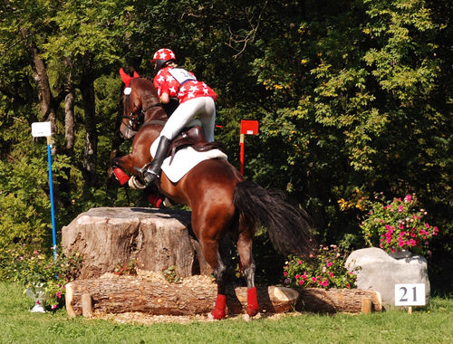 2007 CIC* 2007 CIC*
