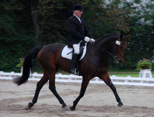 2007 CIC* 2007 CIC*
