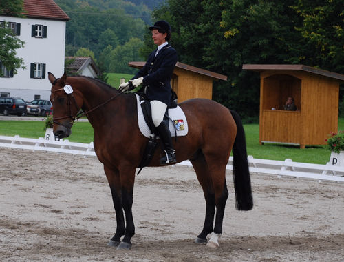 2007 CIC* 2007 CIC*