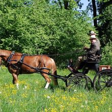 24.Frühjahrsfahrt der Weilheimer Pferdefreunde e.V.