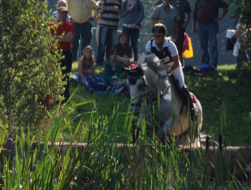 2007 CIC* 2007 CIC*