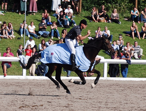 2007 CIC* 2007 CIC*