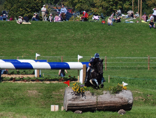 2007 CIC* 2007 CIC*
