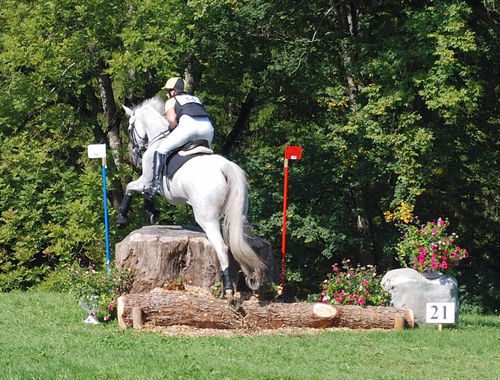 2007 CIC* 2007 CIC*