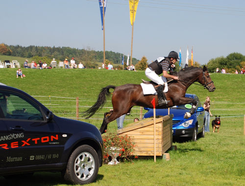 2007 CIC* 2007 CIC*