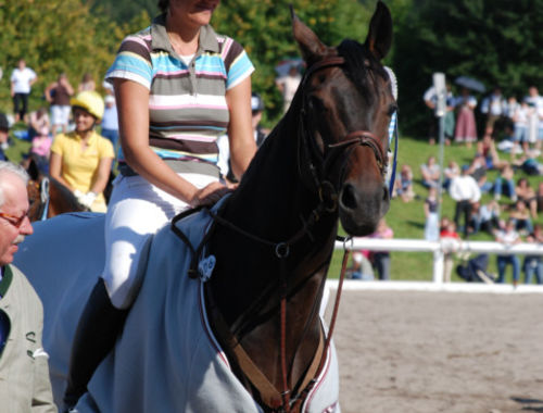 2007 CIC* 2007 CIC*